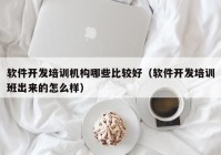 軟件開發(fā)培訓機構(gòu)哪些比較好（軟件開發(fā)培訓班出來的怎么樣）