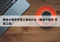 微信小程序開(kāi)發(fā)工具叫什么（微信小程序 開(kāi)發(fā)工具）