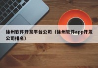 徐州軟件開發(fā)平臺(tái)公司（徐州軟件app開發(fā)公司排名）