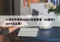 小程序開(kāi)發(fā)的appid在哪里看（小程序appid怎么看）