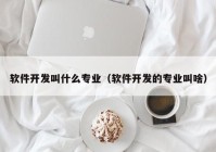 軟件開(kāi)發(fā)叫什么專(zhuān)業(yè)（軟件開(kāi)發(fā)的專(zhuān)業(yè)叫啥）