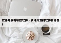 軟件開(kāi)發(fā)有哪些軟件（軟件開(kāi)發(fā)的軟件有哪些）