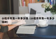 小程序開(kāi)發(fā)一年多少錢（小程序開(kāi)發(fā)一年多少錢啊）