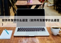 軟件開發(fā)學(xué)什么語(yǔ)言（軟件開發(fā)要學(xué)什么語(yǔ)言）